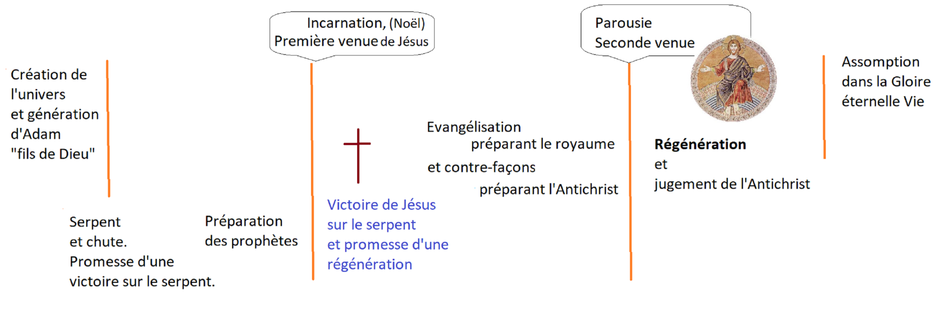 Complement f breynaert adultes 1 schema general